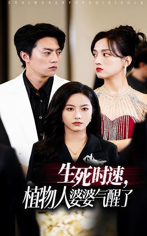 生死时速植物人婆婆气醒了 - 全集完结_影评写作_成益片说-90s网
